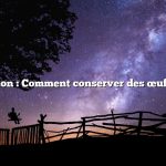 Question : Comment conserver des œufs frais